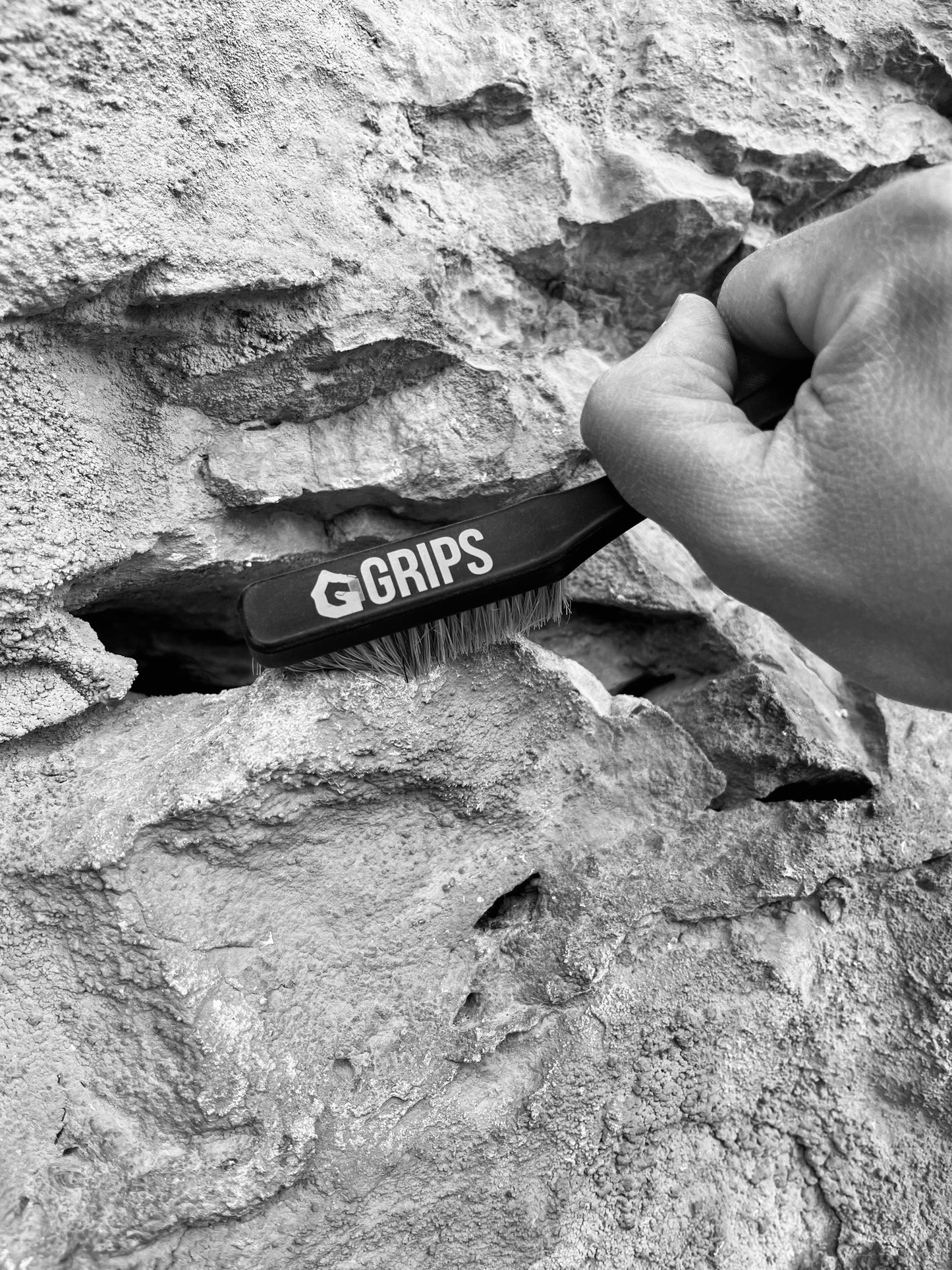 Grips Climbing Brush
